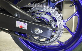 YAMAHA YZF-R25 2006 RG10J