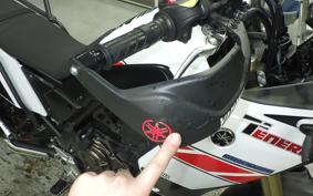 YAMAHA TENERE 700 2020 DM09J