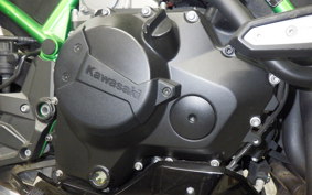 KAWASAKI ZH2 2020 ZRT00K