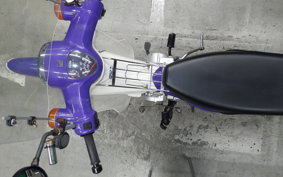 HONDA C110 SUPER CUB 2022 JA07