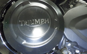 TRIUMPH DAYTONA 675 2009
