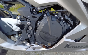KAWASAKI NINJA 250 EX250P