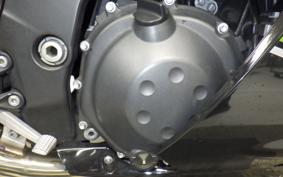 KAWASAKI ZZ1400 NINJA R 2009 ZXT40C