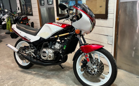 YAMAHA RZ250R 29L