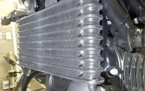 BMW R NINE T SCRAMBLER 2021