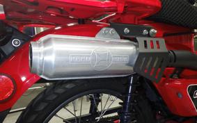 HONDA CT125 HUNTER CUB 2025 JA55