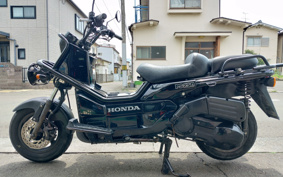 HONDA PS250 MF09