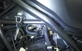 HONDA REBEL 250 S 2011 MC49