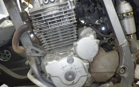 HONDA XR250 BAJA 2003 MD30