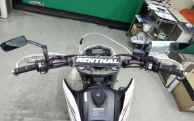 YAMAHA WR250X 2021 DG15J