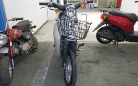 HONDA LITTLE CUB E 2021 AA01