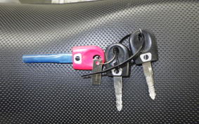 DUCATI MONSTER S2R 800 2009