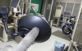 HARLEY RH975S 2023