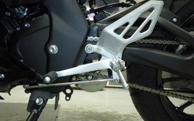 YAMAHA YZF-R15