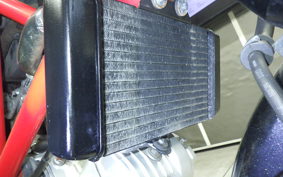 HONDA VTR 250 Gen. 2 2024 MC33