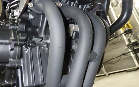 HONDA HORNET 250 2025 MC31