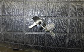 HONDA MONKEY 1992 Z50J