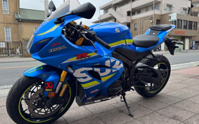 SUZUKI GSX-R1000R ABS 2019 DM11G