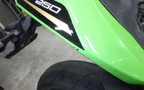 KAWASAKI ZX-25R ZX250E