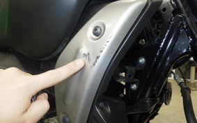 YAMAHA FZ-X150 1998