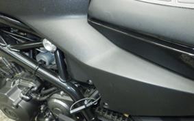 HARLEY X350 2024