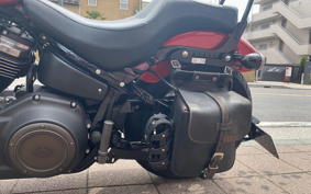 HARLEY FXBB 2019 YJJ