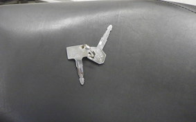 KAWASAKI ELIMINATOR 250 V