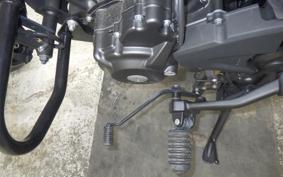 HONDA REBEL 250 S 2009 MC49