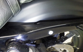 HARLEY XL883N 2015