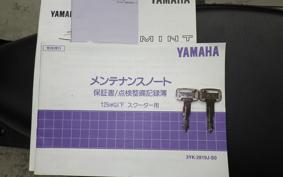 YAMAHA MINT 2023 1YU