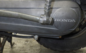 HONDA ZOOMER 2024 AF58