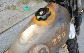 SUZUKI GLASS TRACKER BIG BOY NJ4BA