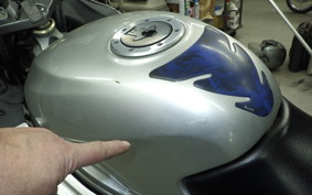 KAWASAKI ZZ-R250 1996 EX250H