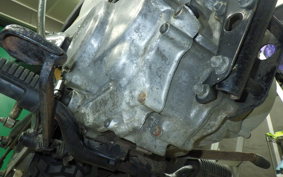 HONDA NAUTY DAX 2025 CY50