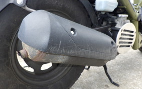 HONDA ZOOMER 2019 AF58