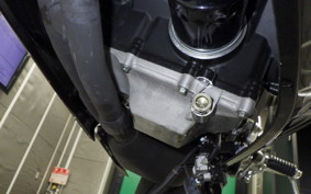 YAMAHA YZF-R25 2021 RG43J