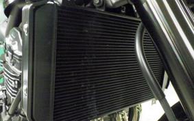 KAWASAKI Z900RS CAFE 2026 ZR902A