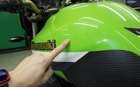 KAWASAKI ZRX1200 D 2017 ZRT20D