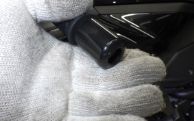 KAWASAKI ZX-25R 2024 ZX250E