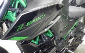 KAWASAKI Z250 Gen.2 2020 EX250Y