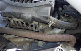 HONDA ZOOMER AF58