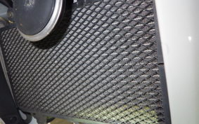 KAWASAKI VERSYS X250Aﾂｱﾗｰ 2009 LE250D