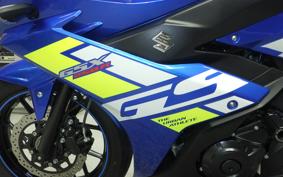 SUZUKI GSX250RA 2008