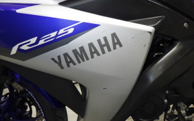 YAMAHA YZF-R25 RG10J