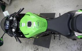 KAWASAKI NINJA ZX-6R A 2019 ZX636G