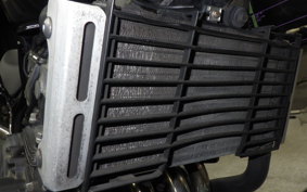 HONDA HORNET 250 2007 MC31