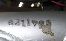 OTHER +UNREGISTERED MODEL by BDS