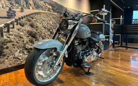 HARLEY  HARLEY FLFBS 2025 YGK