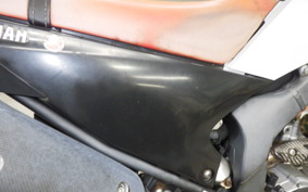 YAMAHA WR250X 2021 DG15J