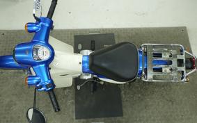 HONDA C110 SUPER CUB